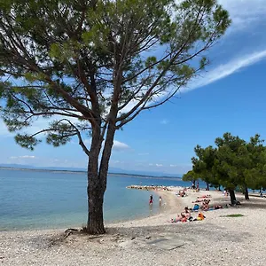 Family Vesna- 100 M -center 3* Crikvenica