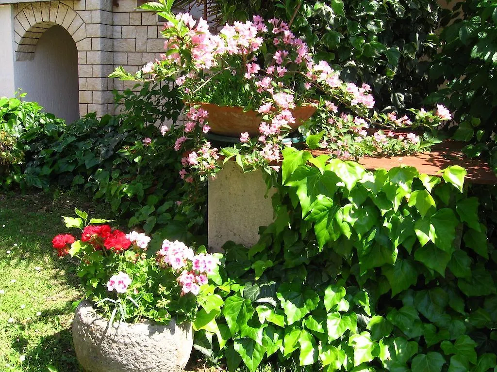 Guest House Caterina Porec